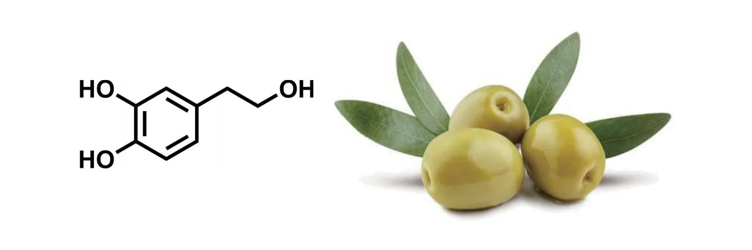 Hydroxytyrosol3.webp