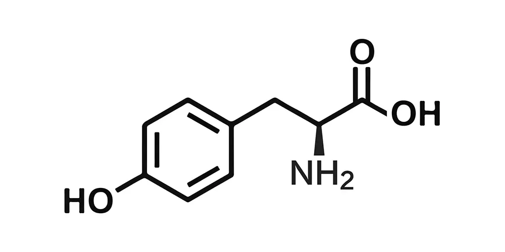 L-tyrosine