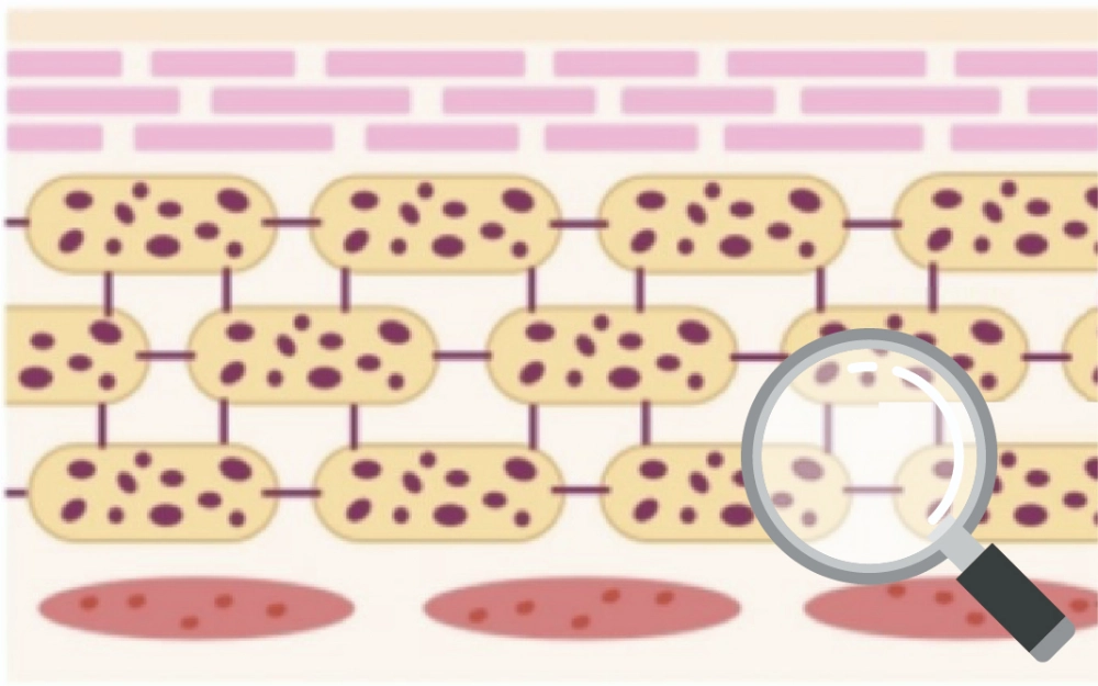 The Dual Revolution: From Repair to Resilience