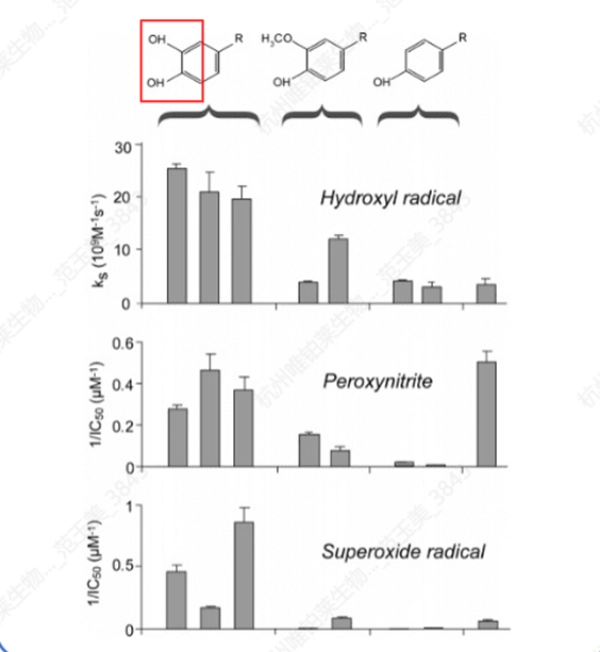 Двойной внутренний антиоксидантный механизм Dual Internal Antioxidant Mechanism