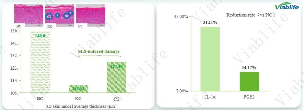 Reduction of Inflammation-Related Factors